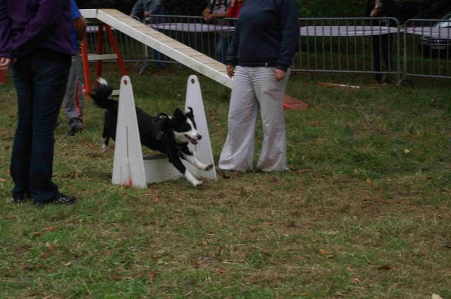 foire-haricots 2011-09-17et18